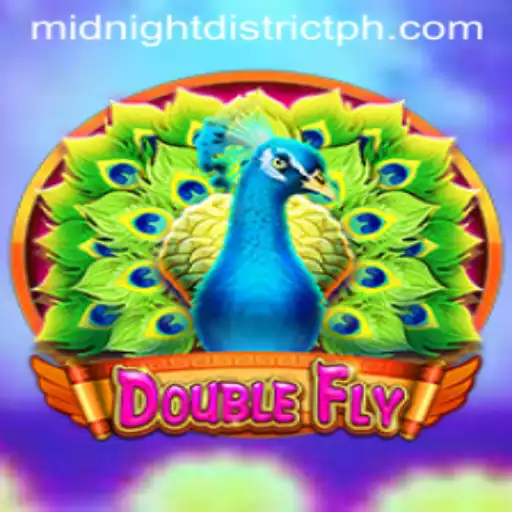 Exploring DoubleFly: A Journey through the Midnight District